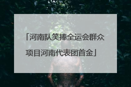 河南队笑捧全运会群众项目河南代表团首金