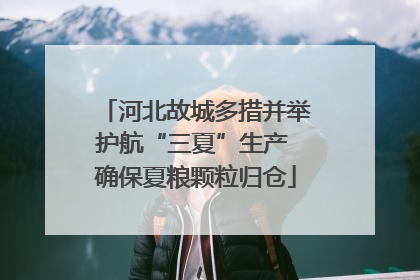 河北故城多措并举护航“三夏”生产 确保夏粮颗粒归仓