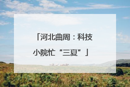 河北曲周：科技小院忙“三夏”