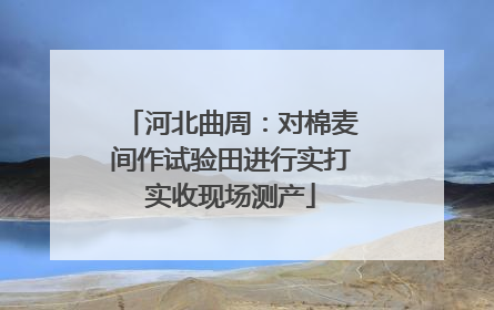 河北曲周：对棉麦间作试验田进行实打实收现场测产