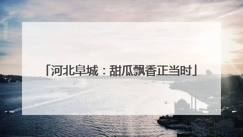 河北阜城：甜瓜飘香正当时