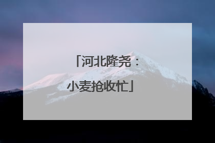 河北隆尧：小麦抢收忙