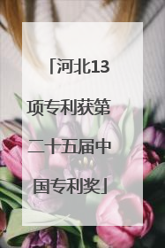 河北13项专利获第二十五届中国专利奖