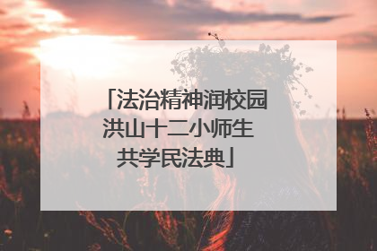 法治精神润校园 洪山十二小师生共学民法典
