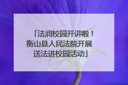法润校园开讲啦！衡山县人民法院开展 送法进校园活动