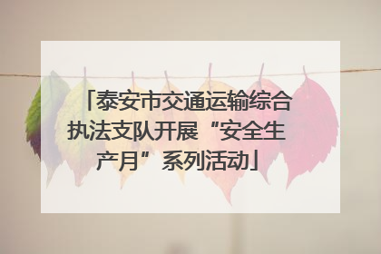 泰安市交通运输综合执法支队开展“安全生产月”系列活动