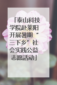 泰山科技学院赴莱阳开展暑期“三下乡”社会实践公益志愿活动