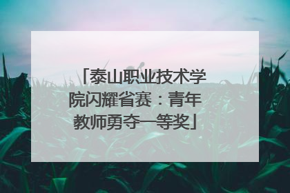 泰山职业技术学院闪耀省赛：青年教师勇夺一等奖