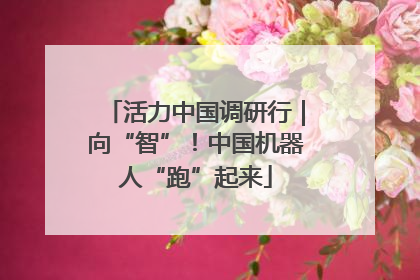 活力中国调研行｜向“智”！中国机器人“跑”起来