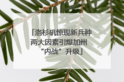 洛杉矶惊现新兵种 两大因素引爆加州“内战”升级