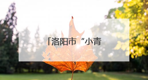 洛阳市“小青柑”助学发展项目走进孟津区