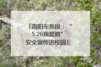 洛阳车务段：“5.26我爱路”安全宣传进校园
