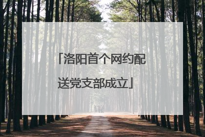 洛阳首个网约配送党支部成立