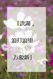 洪湖，浪打浪里万象新