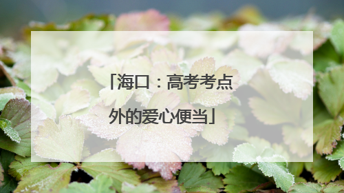 海口：高考考点外的爱心便当