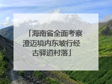 海南省全面考察澄迈境内东坡行经古驿道村落