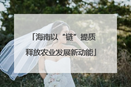 海南以“链”提质 释放农业发展新动能
