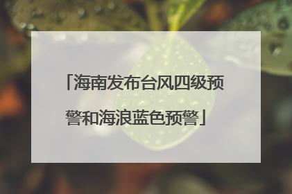 海南发布台风四级预警和海浪蓝色预警