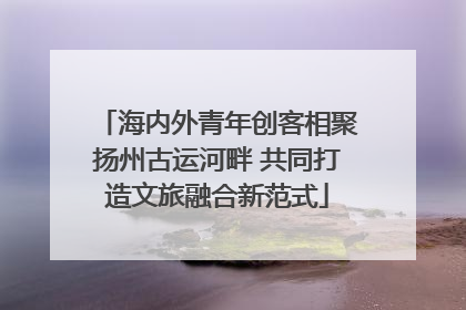 海内外青年创客相聚扬州古运河畔 共同打造文旅融合新范式