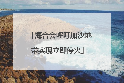 海合会呼吁加沙地带实现立即停火