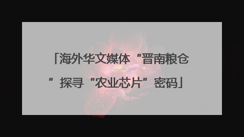 海外华文媒体“晋南粮仓”探寻“农业芯片”密码