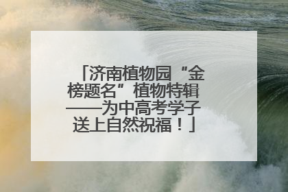 济南植物园“金榜题名”植物特辑——为中高考学子送上自然祝福！