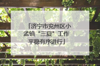 济宁市兖州区小孟镇“三夏”工作平稳有序进行