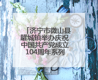 济宁市微山县驩城镇举办庆祝中国共产党成立104周年系列活动
