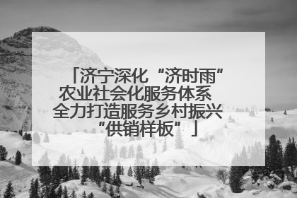 济宁深化“济时雨”农业社会化服务体系 全力打造服务乡村振兴“供销样板”