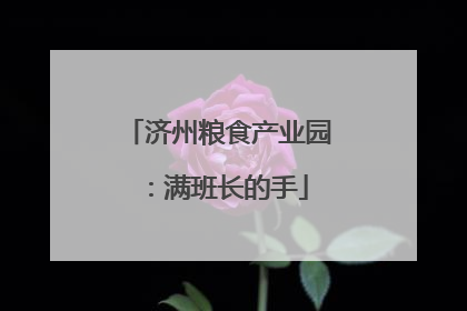 济州粮食产业园：满班长的手