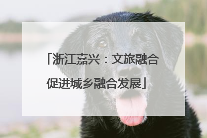 浙江嘉兴：文旅融合促进城乡融合发展