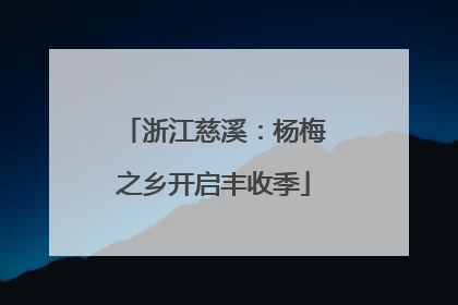 浙江慈溪：杨梅之乡开启丰收季