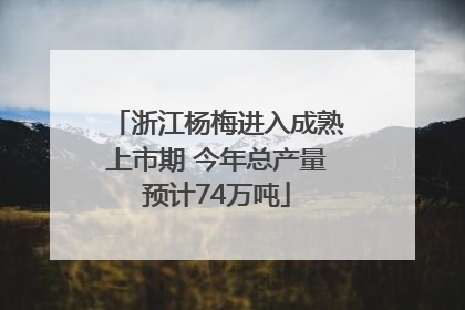 浙江杨梅进入成熟上市期 今年总产量预计74万吨