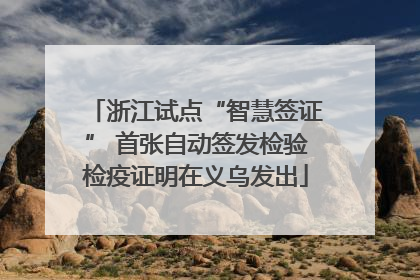 浙江试点“智慧签证” 首张自动签发检验检疫证明在义乌发出