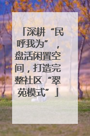 深耕“民呼我为”，盘活闲置空间，打造完整社区“翠苑模式”