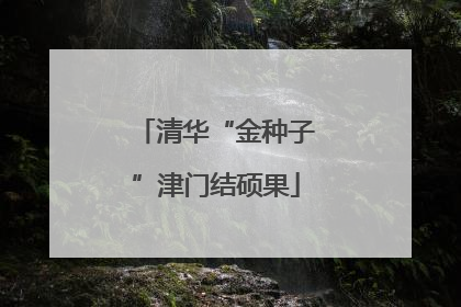 清华“金种子”津门结硕果