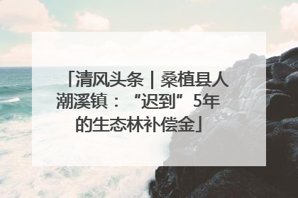 清风头条｜桑植县人潮溪镇：“迟到”5年的生态林补偿金