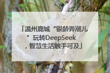 温州鹿城“银龄弄潮儿”玩转DeepSeek，智慧生活触手可及