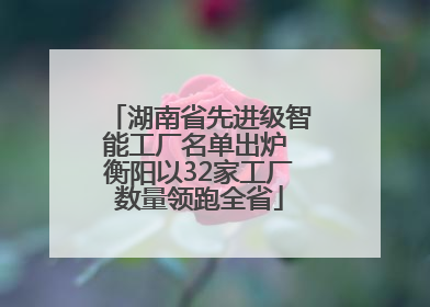 湖南省先进级智能工厂名单出炉 衡阳以32家工厂数量领跑全省