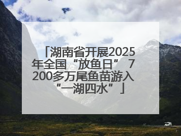 湖南省开展2025年全国“放鱼日” 7200多万尾鱼苗游入“一湖四水”