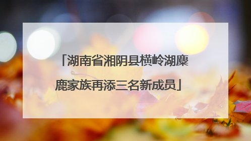 湖南省湘阴县横岭湖麋鹿家族再添三名新成员