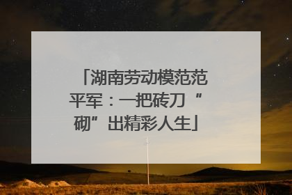 湖南劳动模范范平军：一把砖刀“砌”出精彩人生