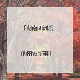 湖南团洲垸的田家新事