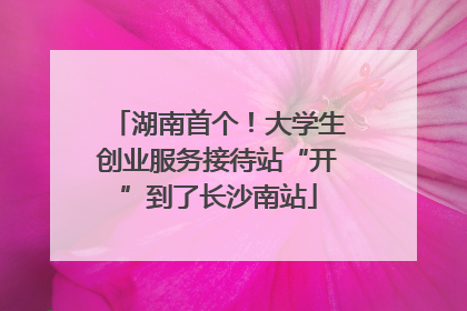 湖南首个！大学生创业服务接待站“开”到了长沙南站