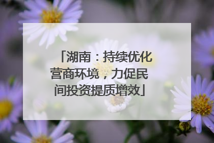 湖南：持续优化营商环境，力促民间投资提质增效