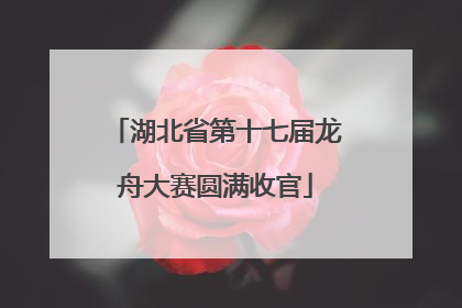 湖北省第十七届龙舟大赛圆满收官