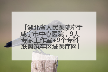 湖北省人民医院牵手咸宁市中心医院，9大专家工作室+9个专科联盟筑牢区域医疗网