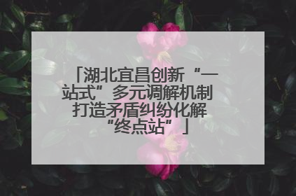 湖北宜昌创新“一站式”多元调解机制 打造矛盾纠纷化解“终点站”