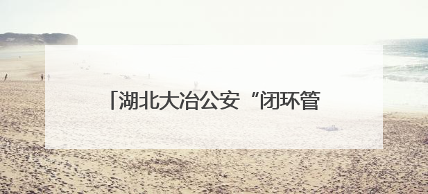 湖北大冶公安“闭环管控”提升基层警务质效