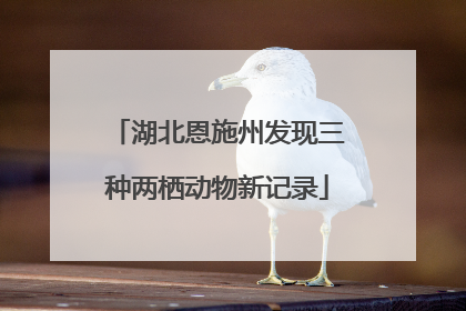 湖北恩施州发现三种两栖动物新记录